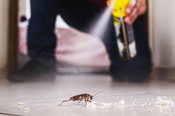 Best Pest Removal Services  in Gleason, TN