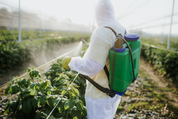 Pest Prevention Services in Gleason, TN